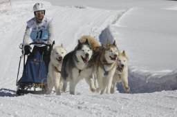 Kandersteg 2013